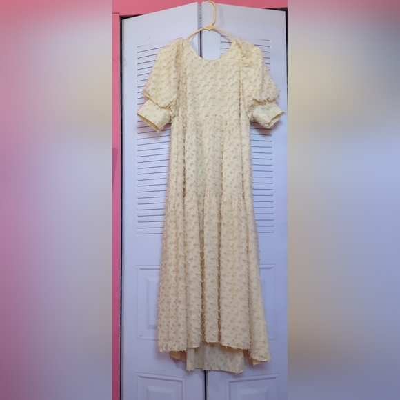 ZARA maxi feather texture dress - Picture 5 of 8